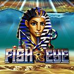 Fish Eye Fish Eye