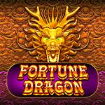 Fortune Dragon PP Fortune Dragon PP