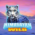 Himalayan Wild Himalayan Wild