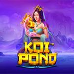 Koi Pond Koi Pond