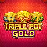 Triple Pot Gold Triple Pot Gold