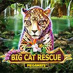 Big Cat Rescue Megaways Big Cat Rescue Megaways