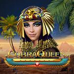 Cobra Queen Cobra Queen
