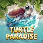 Turtle Paradise Turtle Paradise