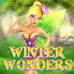 Winter Wonders Winter Wonders
