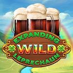 Expanding Wild Leprechaun Expanding Wild Leprechaun