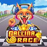 Gallina Race Gallina Race