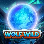 Wolf Wild Wolf Wild