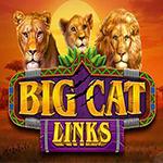 Big Cat Links Big Cat Links