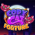 Copy Cat Fortune Copy Cat Fortune