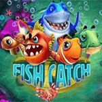 Fish Catch Fish Catch
