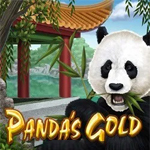 Panda`s Gold Panda`s Gold