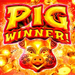 Pig Winner Pig Winner