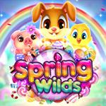 Spring Wilds Spring Wilds