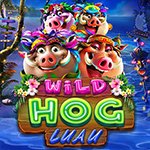 Wild Hog Luau Wild Hog Luau