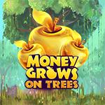Money Trees Of Spring Money Trees Of Spring