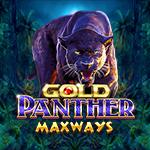 Gold Panther Maxways Gold Panther Maxways