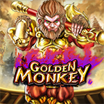Golden Monkey Golden Monkey