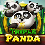 Triple Panda Triple Panda