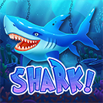 Shark Shark